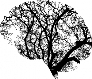 brain, anatomy, abstract, art, branches, computation, compute, contemplate, cranium, nature, ecology, environment, green, head, human, knowledge, mental, health, people, person, profile, recycle, think, thought, tree, understand, unknown, artificial intelligence, cut out